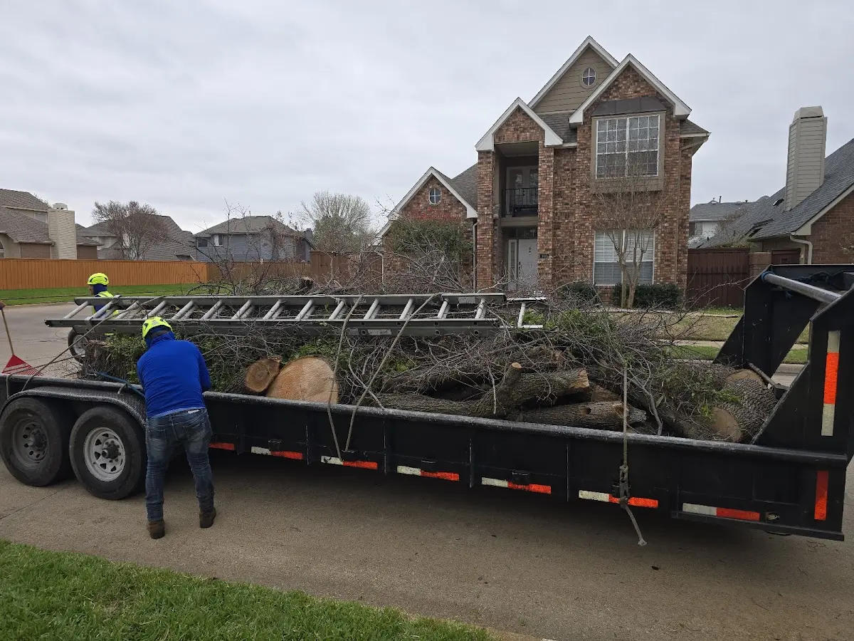 Expert Lot Clearing with proper safety equipment in Sandy Creek